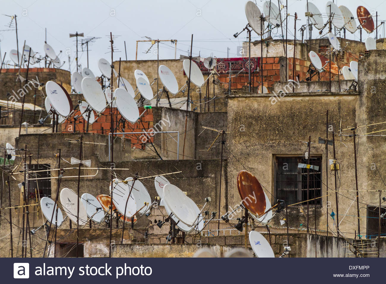 Can You Use A Sky Satellite Dish As An Aerial at Rose Hill blog