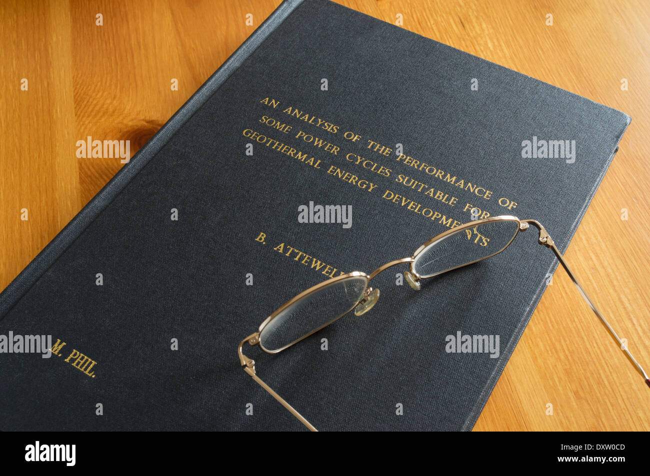 Masters Degree Thesis