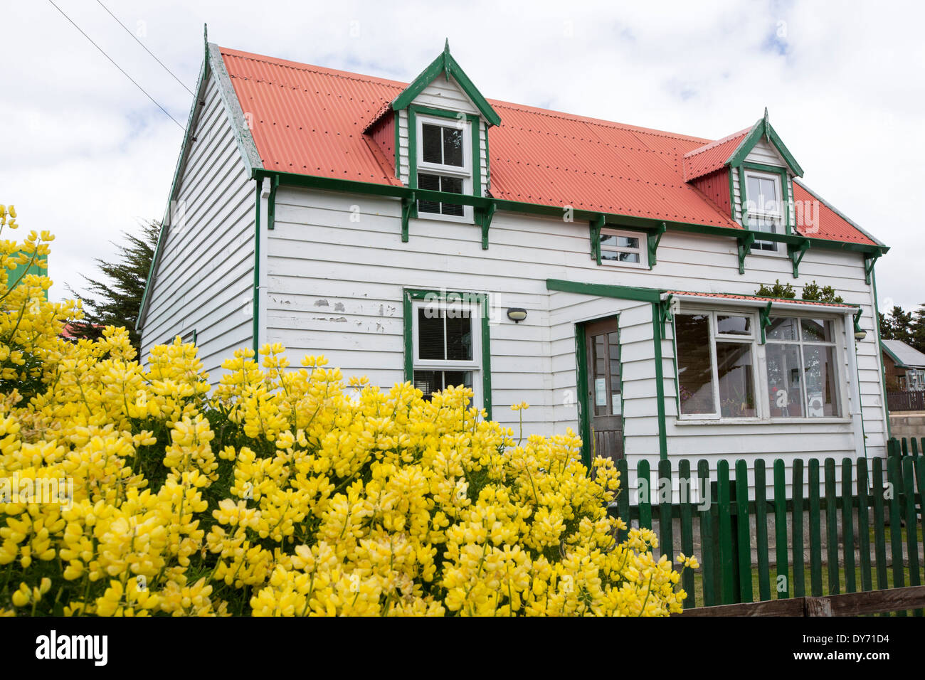 Houses in Port Stanley, the capital of the Falkland Islands Stock Photo