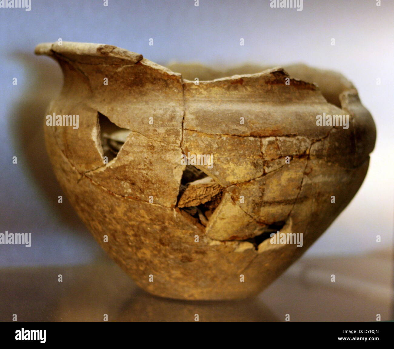download limnology of parakrama samudra sri lanka a case study of an ancient man made lake in the