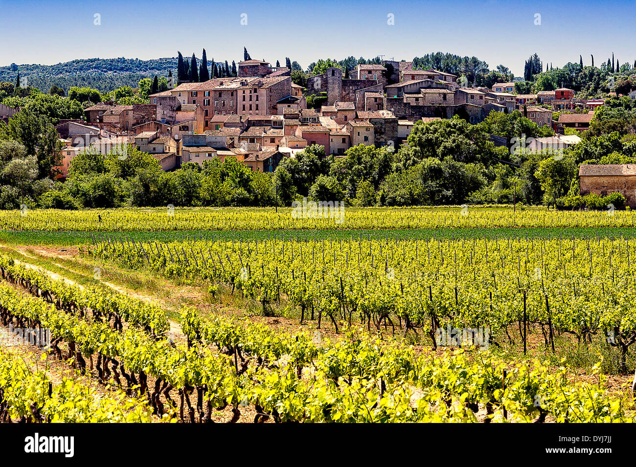 europe-france-var-carces-the-village-of-carces-and-vineyards-DYJ7JJ.jpg