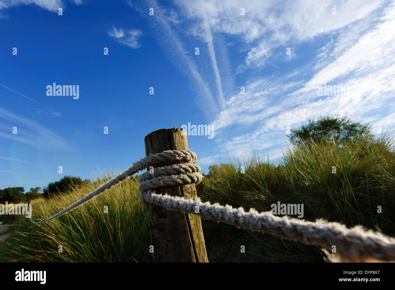 Dunes roped off Stock Photo, Royalty Free Image 68716207 Alamy