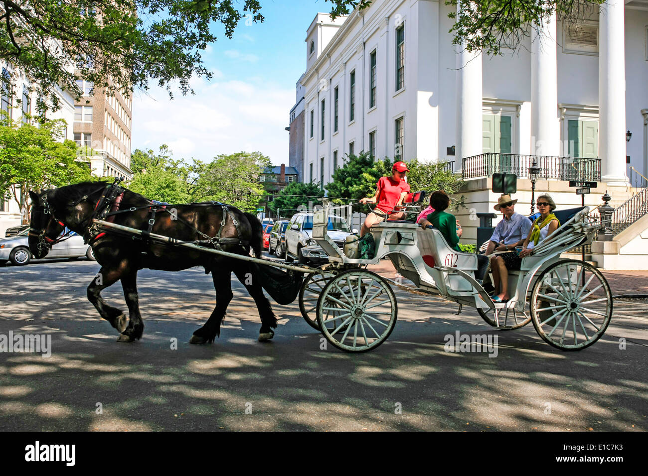 Horse and Carriage tourist transport in Savannah Stock Photo