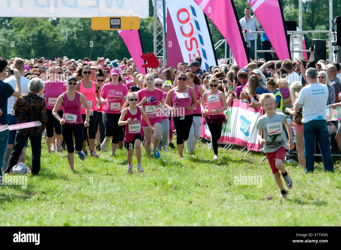 Race For Life Cancer Research Uk Charity Event Stock Photo Alamy