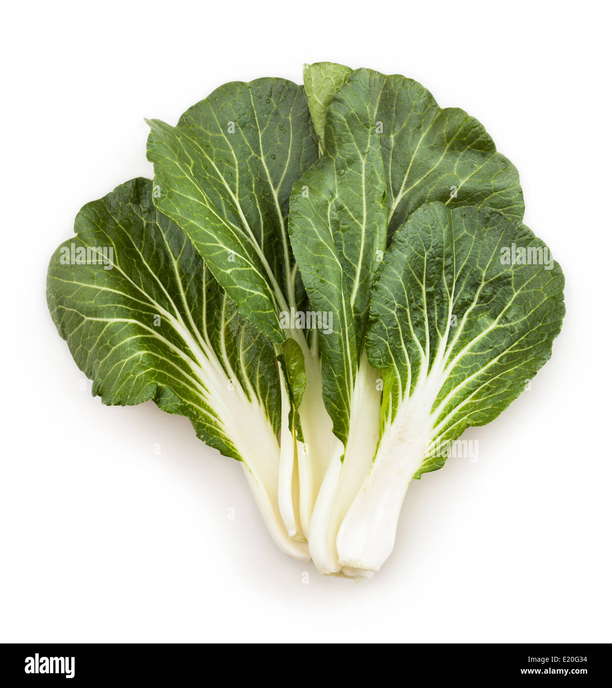 bok choy chinese cabbage leaves isolated Stock Photo, Royalty Free