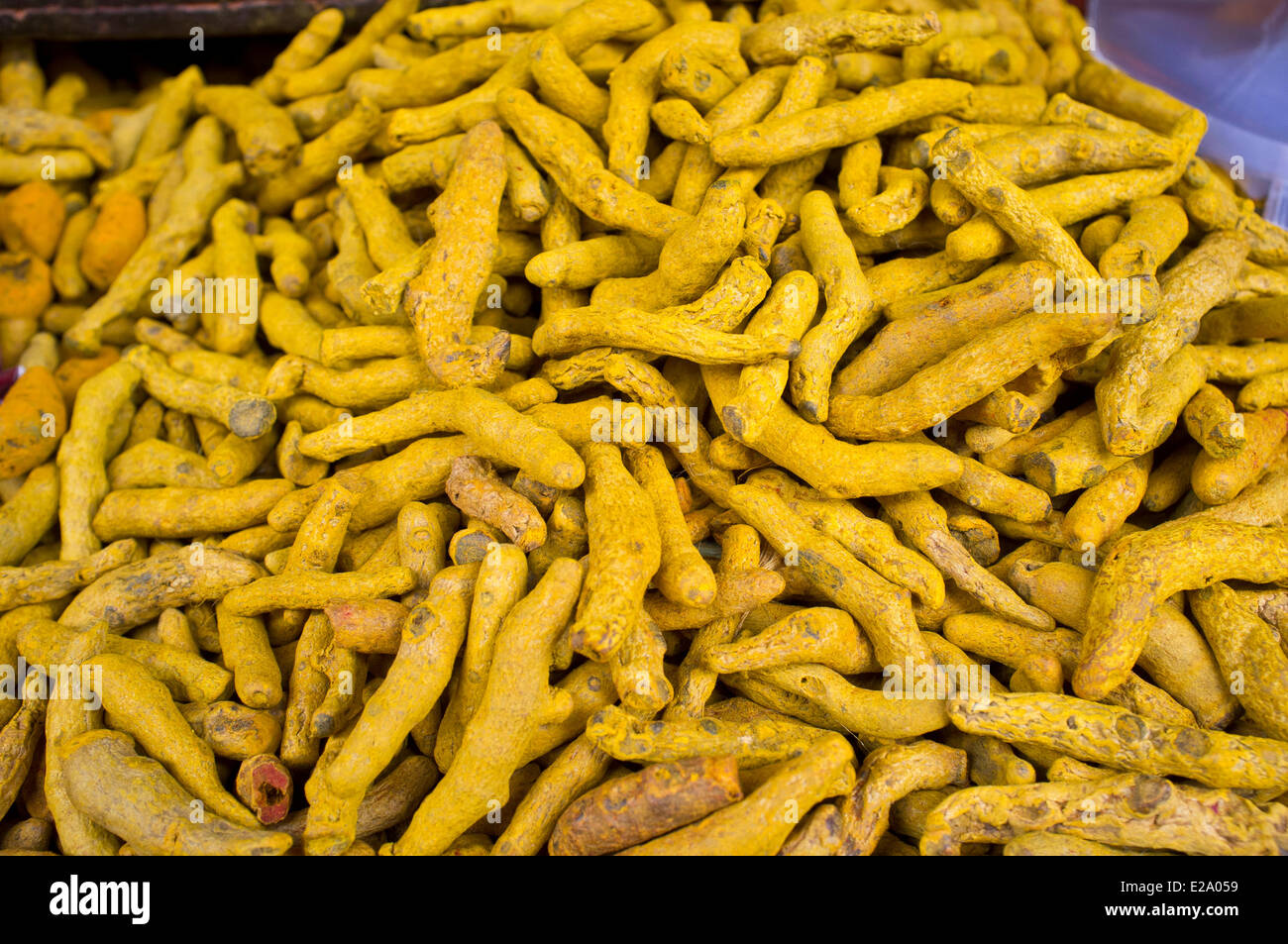 India, Tamil Nadu State, Chennai (Madras), the turmeric is a spice