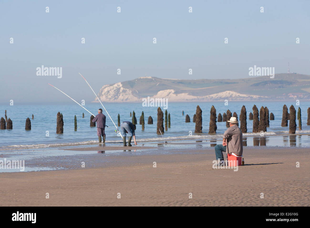 France Pas de Calais Cote d'Opale Parc naturel regional des Caps et