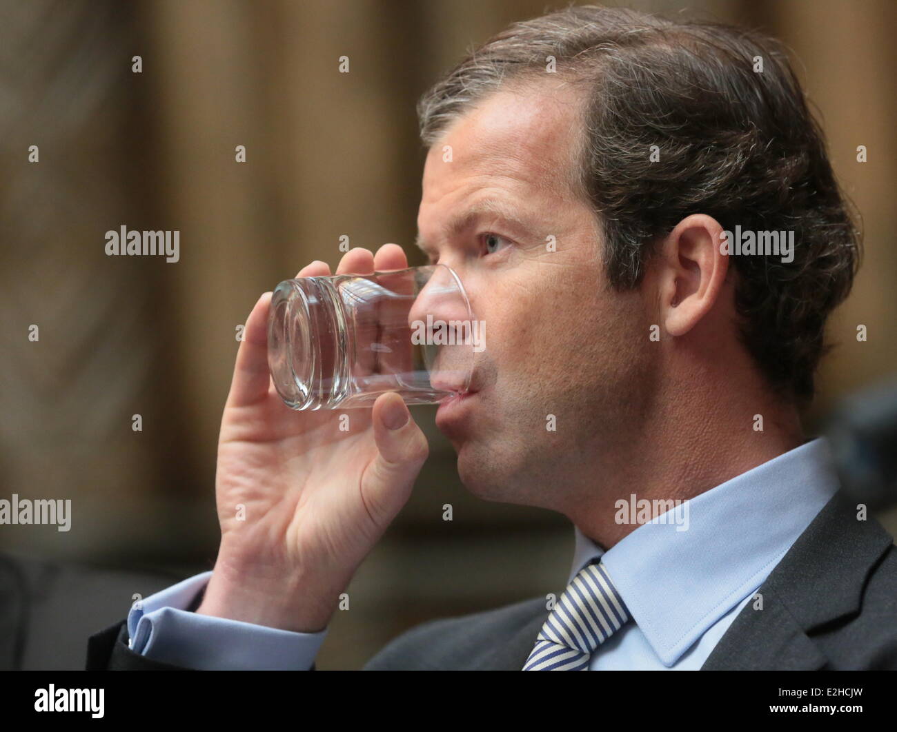 Moscow, Russia. 19th June, 2014. Prince Maximilian of Liechtenstein Stock Photo, Royalty Free