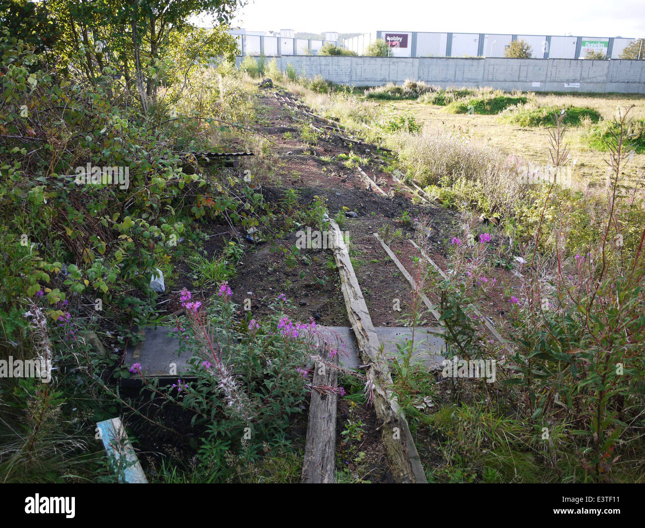 the-remains-of-the-terracing-at-firs-par