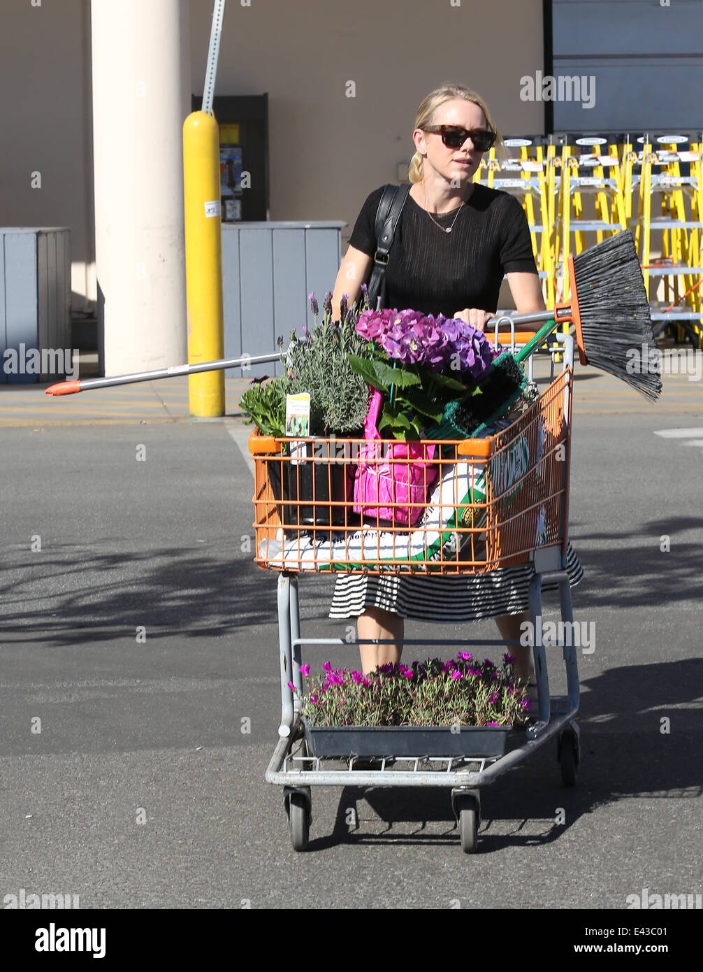 Naomi Watts buys flowers and plants at Home Depot Featuring: Naomi ... Naomi Watts buys flowers and plants at Home Depot Featuring: Naomi ...