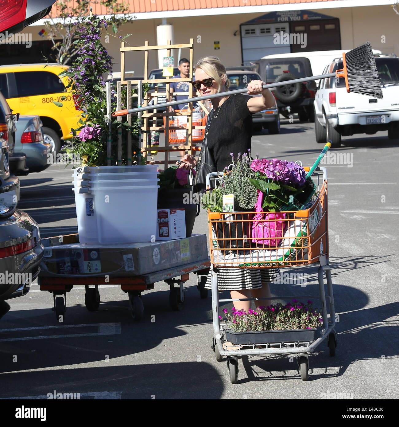 Naomi Watts buys flowers and plants at Home Depot Featuring: Naomi ... Naomi Watts buys flowers and plants at Home Depot Featuring: Naomi ...