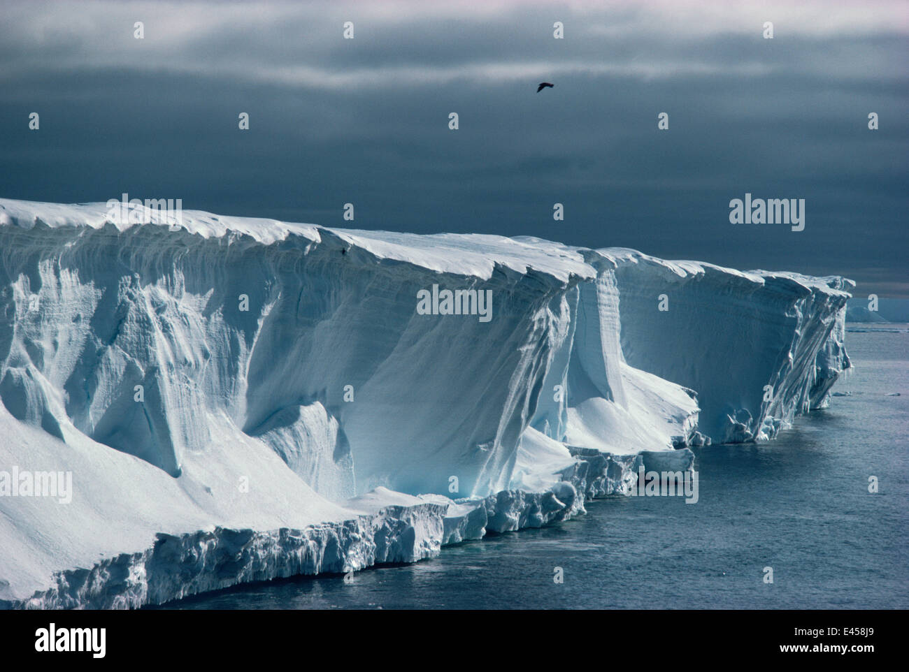 Ice cliffs of the Ross ice shelf, Antarctica Stock Photo 71416641 Alamy