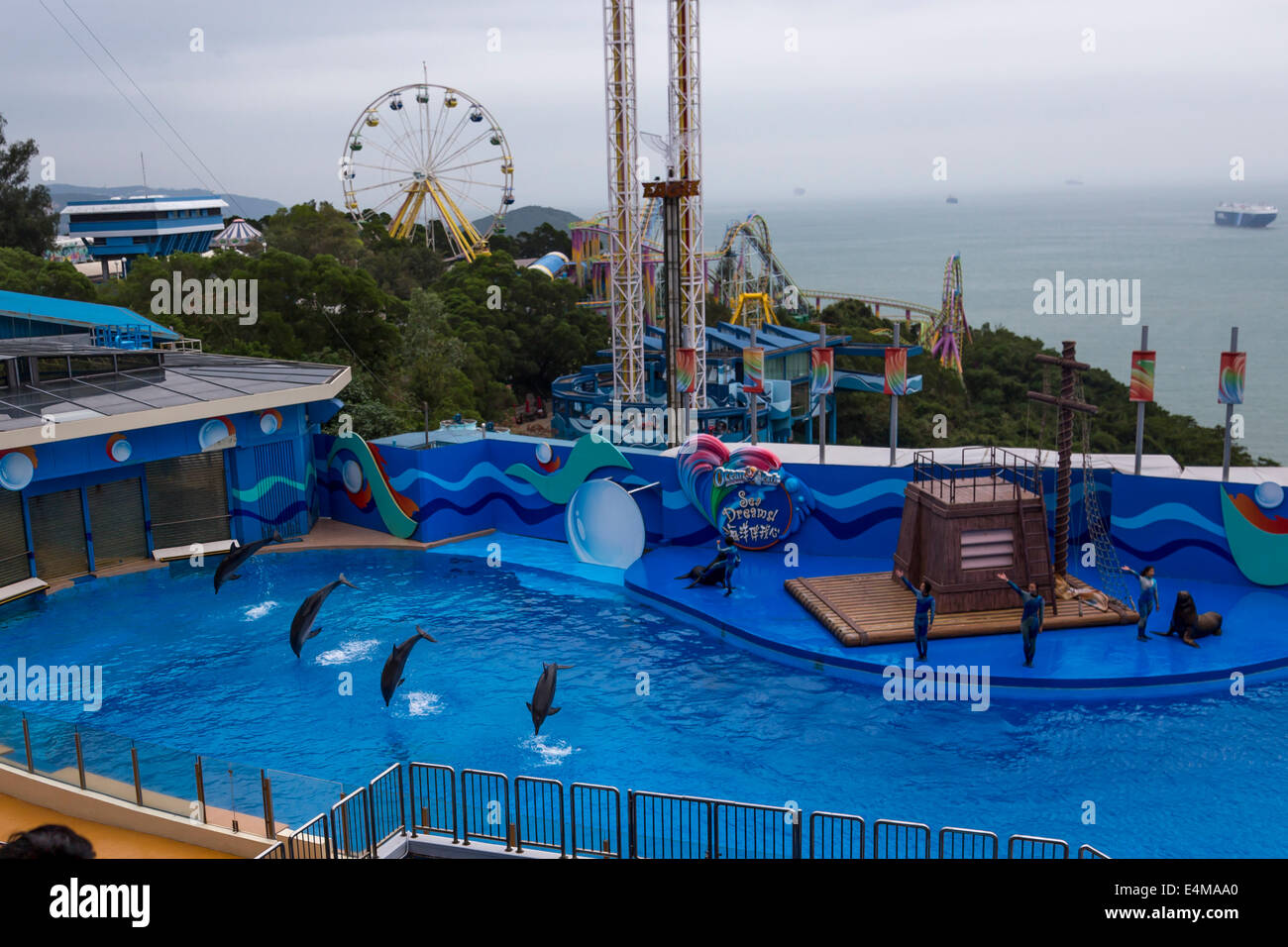 CHINA HONG KONG Ocean Park aquarium dolphin show Stock Photo, Royalty