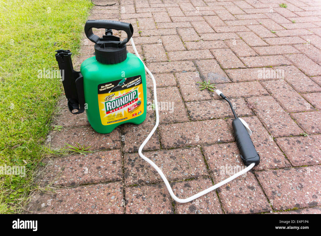 Roundup Weedkiller Applicator For Killing Weeds In Paths Pavements And Driveways Roundup Weedkiller Applicator For Killing Weeds In Paths Pavements And Driveways