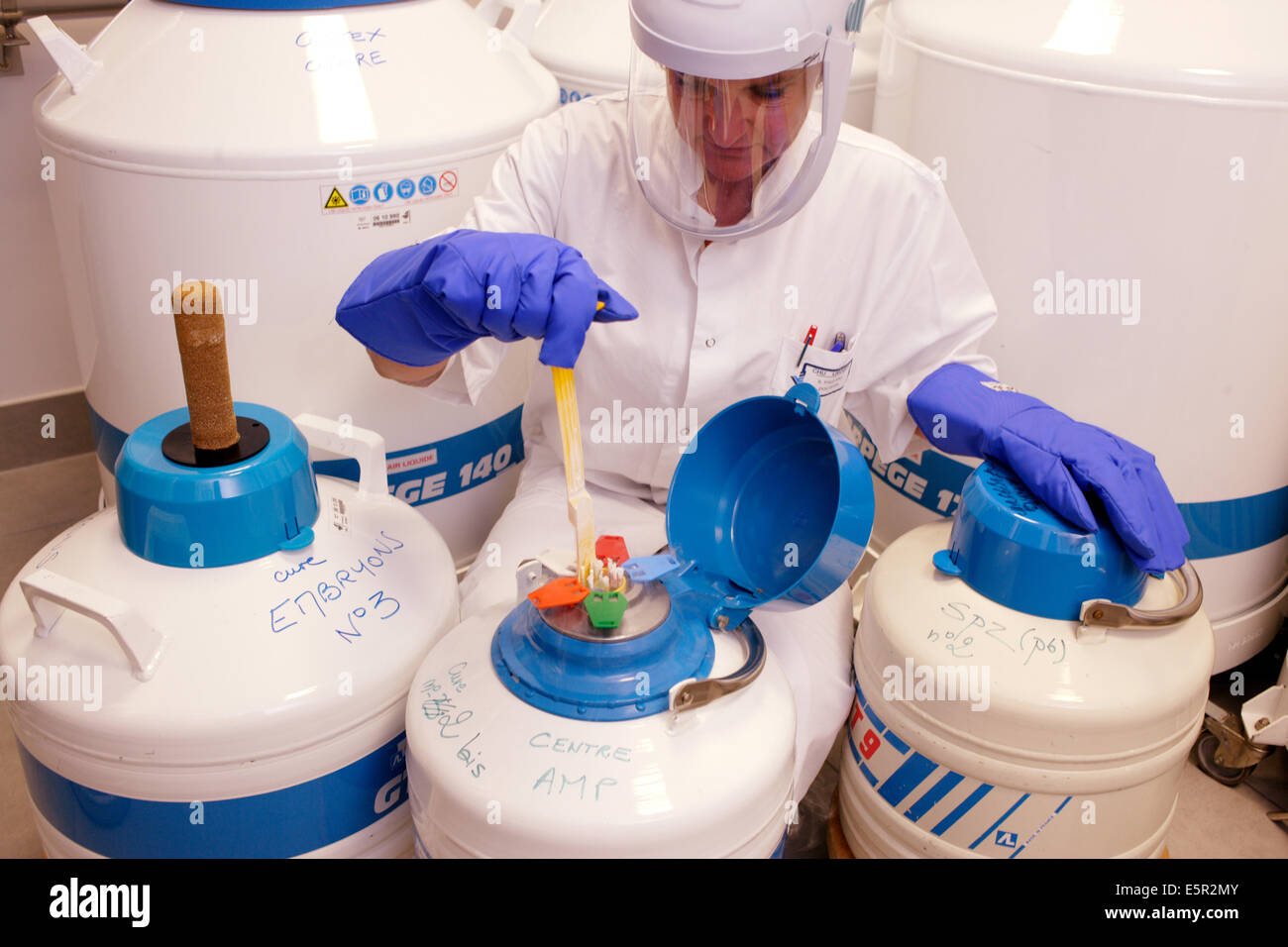 Frozen sperm and ivf results consider Possible frozen sperm and ivf results recommend