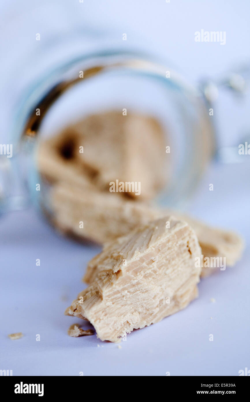 Brewer S Yeast Stock Photo Royalty Free Image Alamy