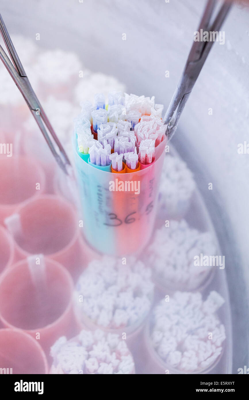 Mens social domination of women Frozen human sperm