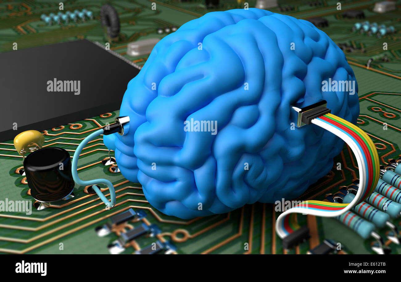 Human Brain And Circuit Board Hi Res Stock Photography And Images Alamy