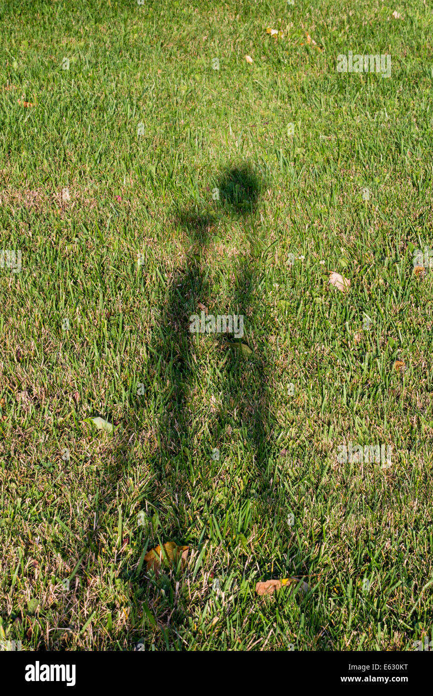 shadow-of-camera-on-a-tripod-on-grass-E6