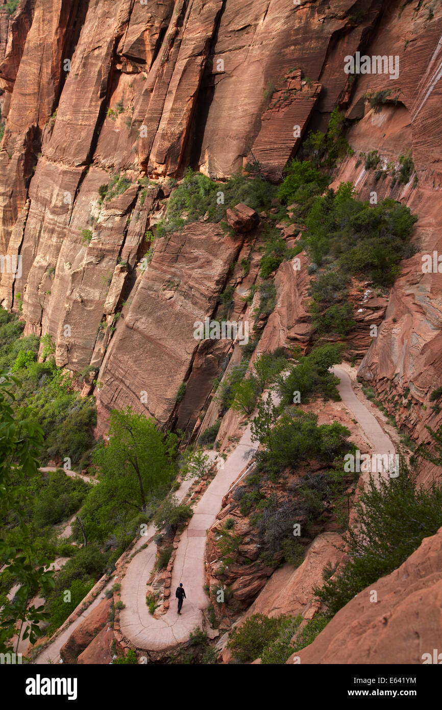 Hiker climbing up zigzag track out of Zion Canyon, up West Rim Trail