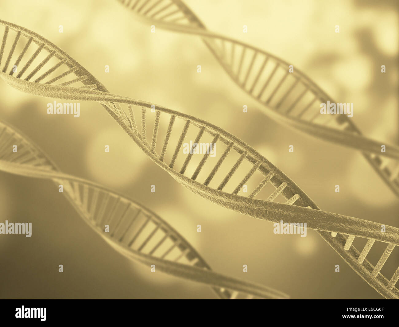 High Resolution Render Of DNA Double Helix Stock Photo Alamy