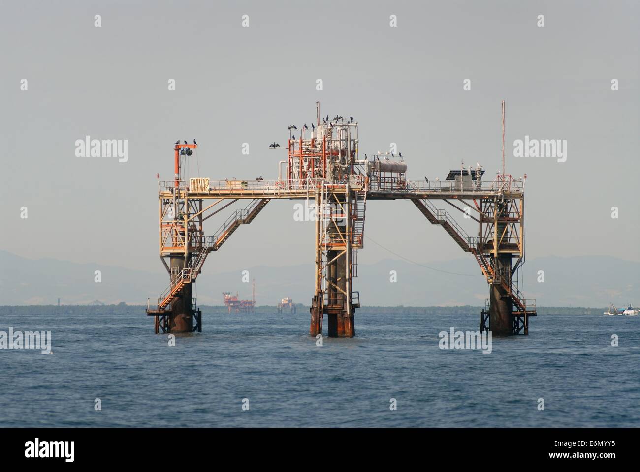 Natural gas forex italia