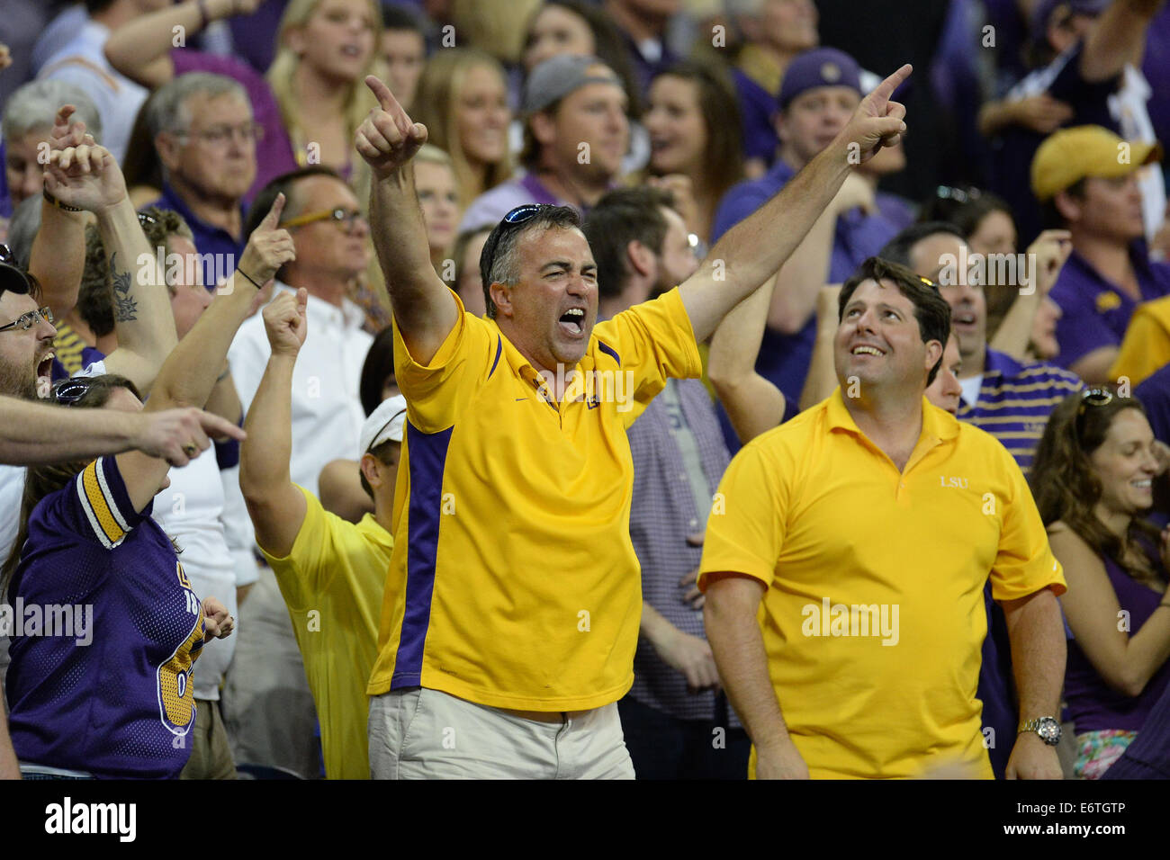 Houston, Texas, USA. 30th Aug, 2014. LSU fans celebrate the winning Stock Photo, Royalty Free