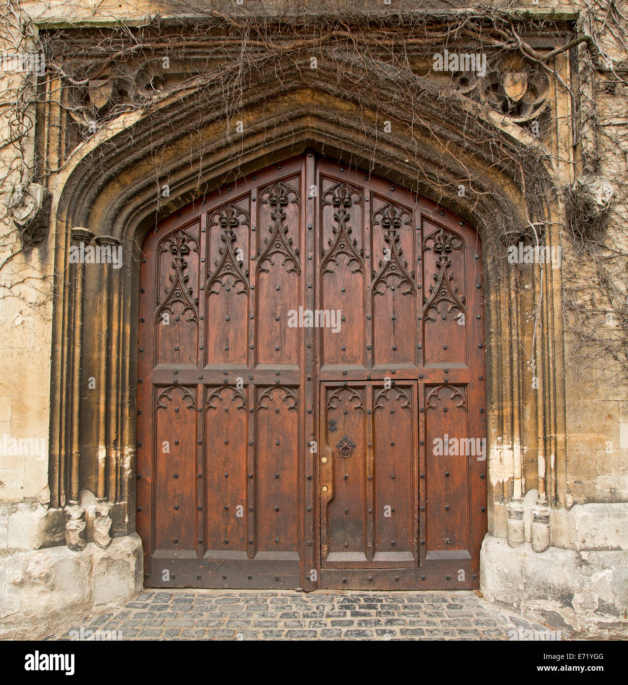 Spectacular rich brown double wooden doors with intricate carving ... Spectacular rich brown double wooden doors with intricate carving ...