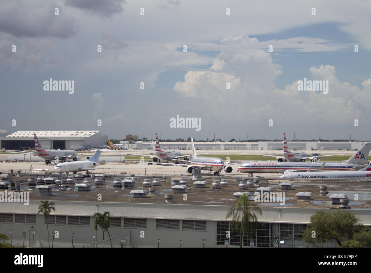 Miami airport American Airlines Stock Photo, Royalty Free Image: 73355990 - Alamy