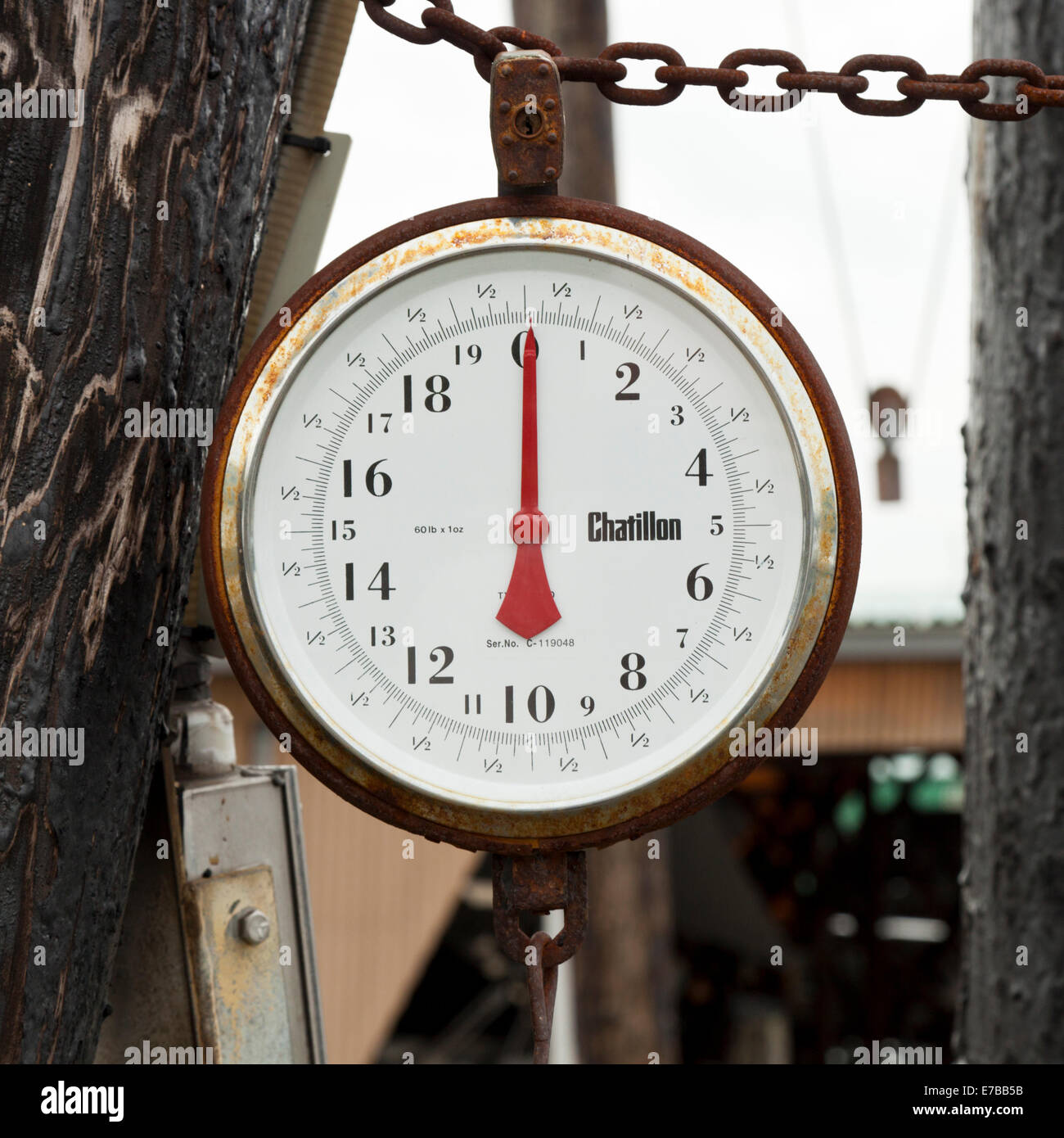 Fishing weigh scales Stock Photo, Royalty Free Image 73394311 Alamy