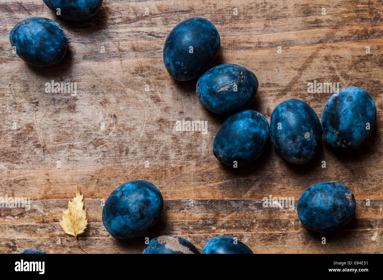 Autumn harvest of Damson Fruit Stock Photo, Royalty Free Image