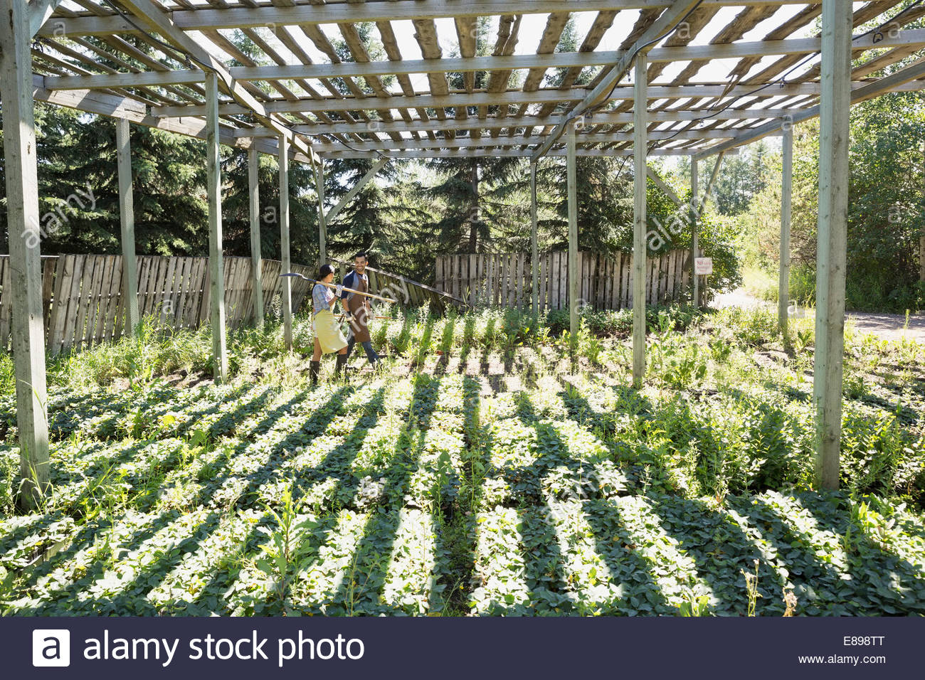 Workers at plant nursery Stock Photo, Royalty Free Image 73963256 Alamy