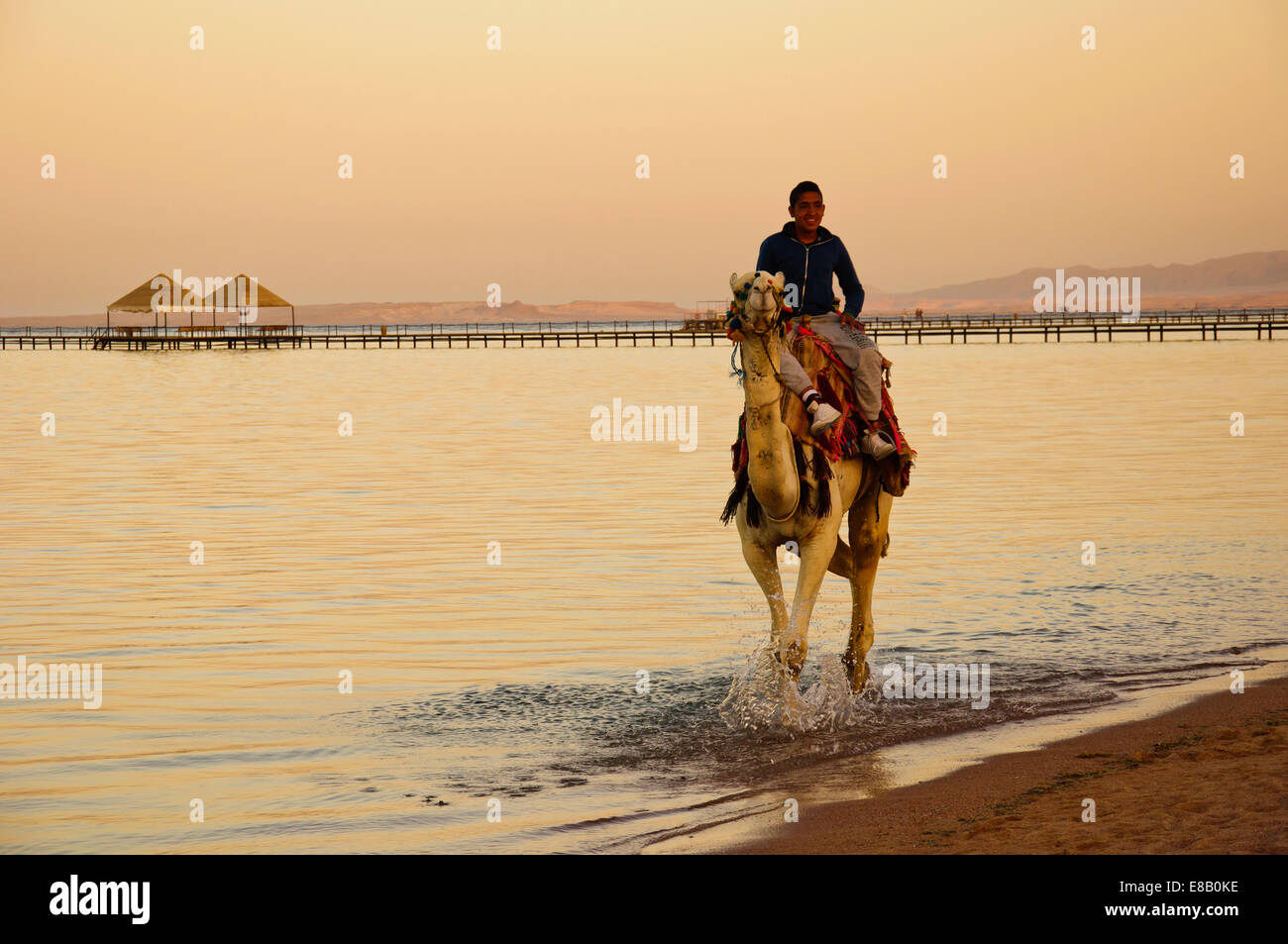 Camel Ride Stock Photo, Royalty Free Image: 74000738 - Alamy