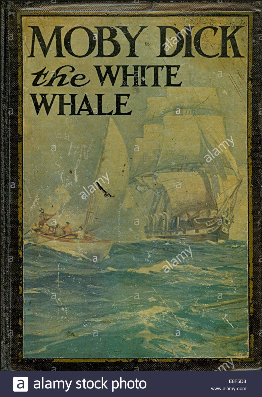 Essays On Moby Dick