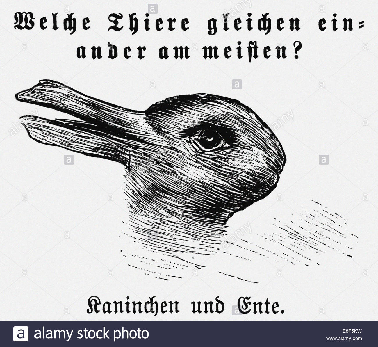duck-rabbit-illusion-from-jastrow-j-the-