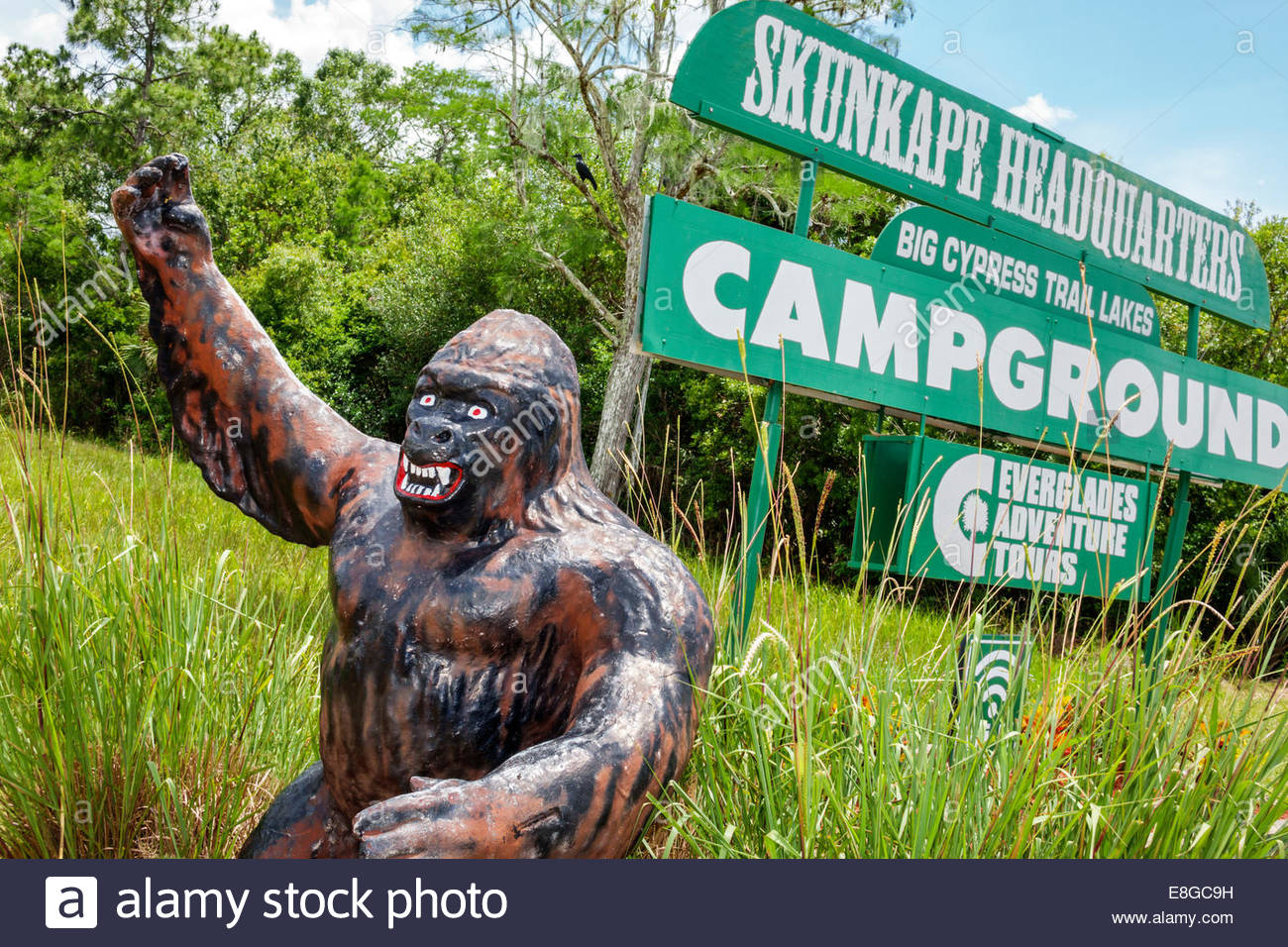 Florida Ochopee Tamiami Trail Everglades Big Cypress Skunk Ape Stock