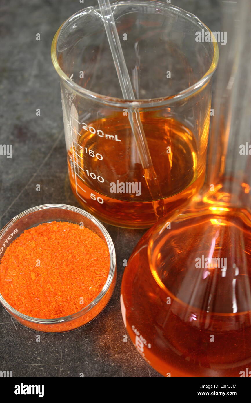 Ampicillin Sodium Salt Stock Solution