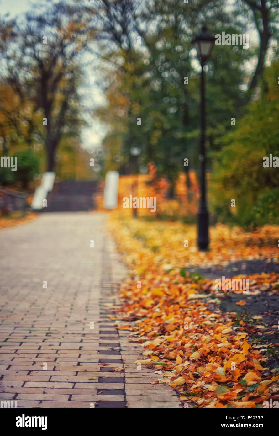 Autumn Maple Park With Yellow Leaves And Paving Lane Stock Photo Alamy