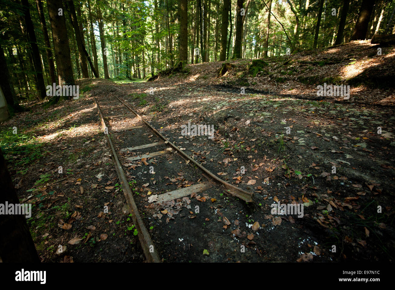 Argonne Forest WW1 MeuseArgonne Battlefield site, France. October