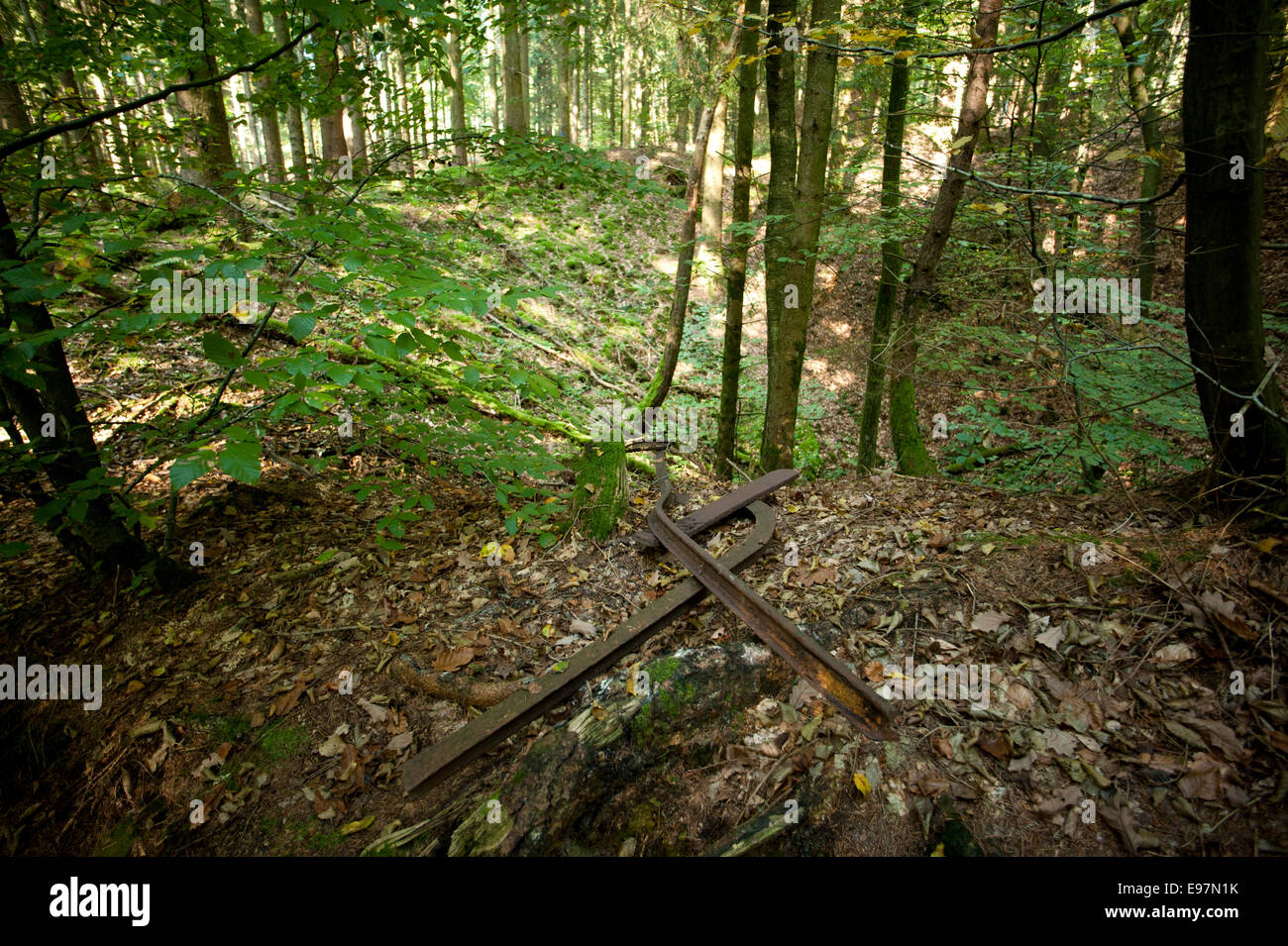 Argonne Forest WW1 MeuseArgonne Battlefield site, France. October