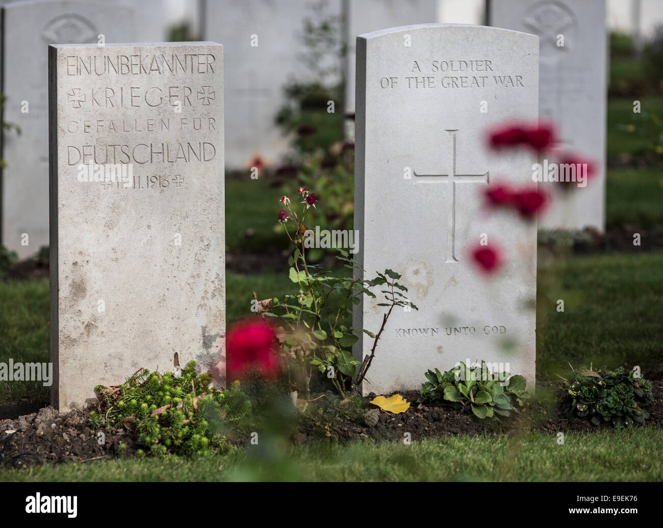 German gravestone beside british gravestone at Essex Farm Cemetery