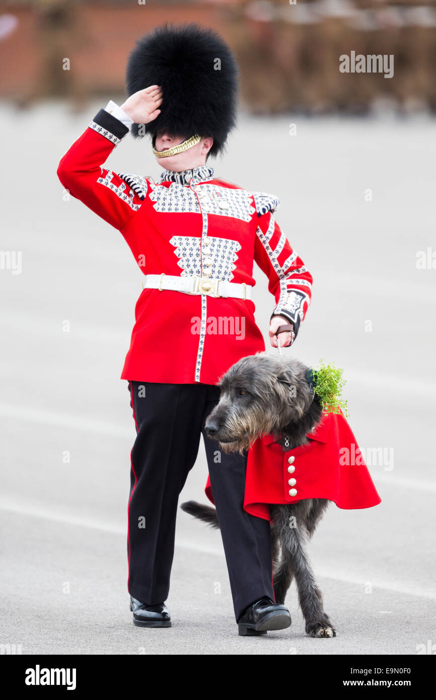 Domhnall, the Irish Wolfhound mascot of the Irish Guards parades past