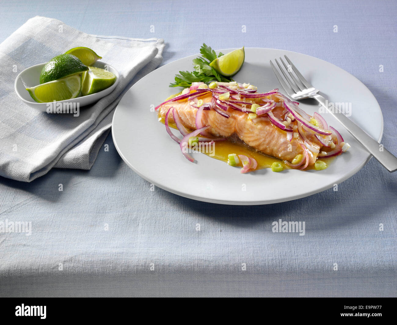 Agave salmon recipes Agave salmon recipes