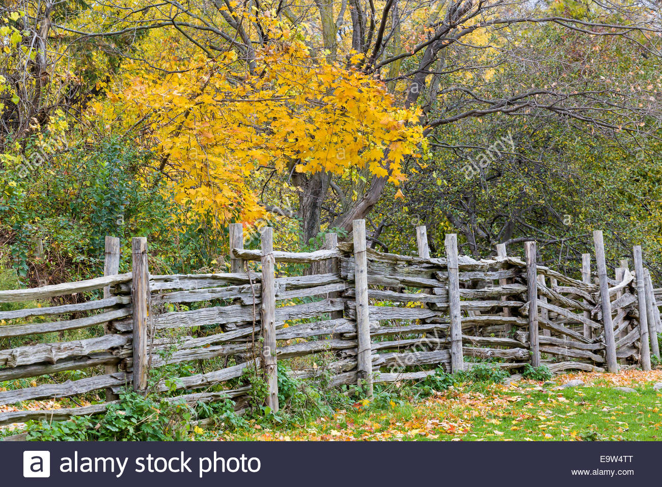 Split-rail fence AKA as log fence with double posts at ...