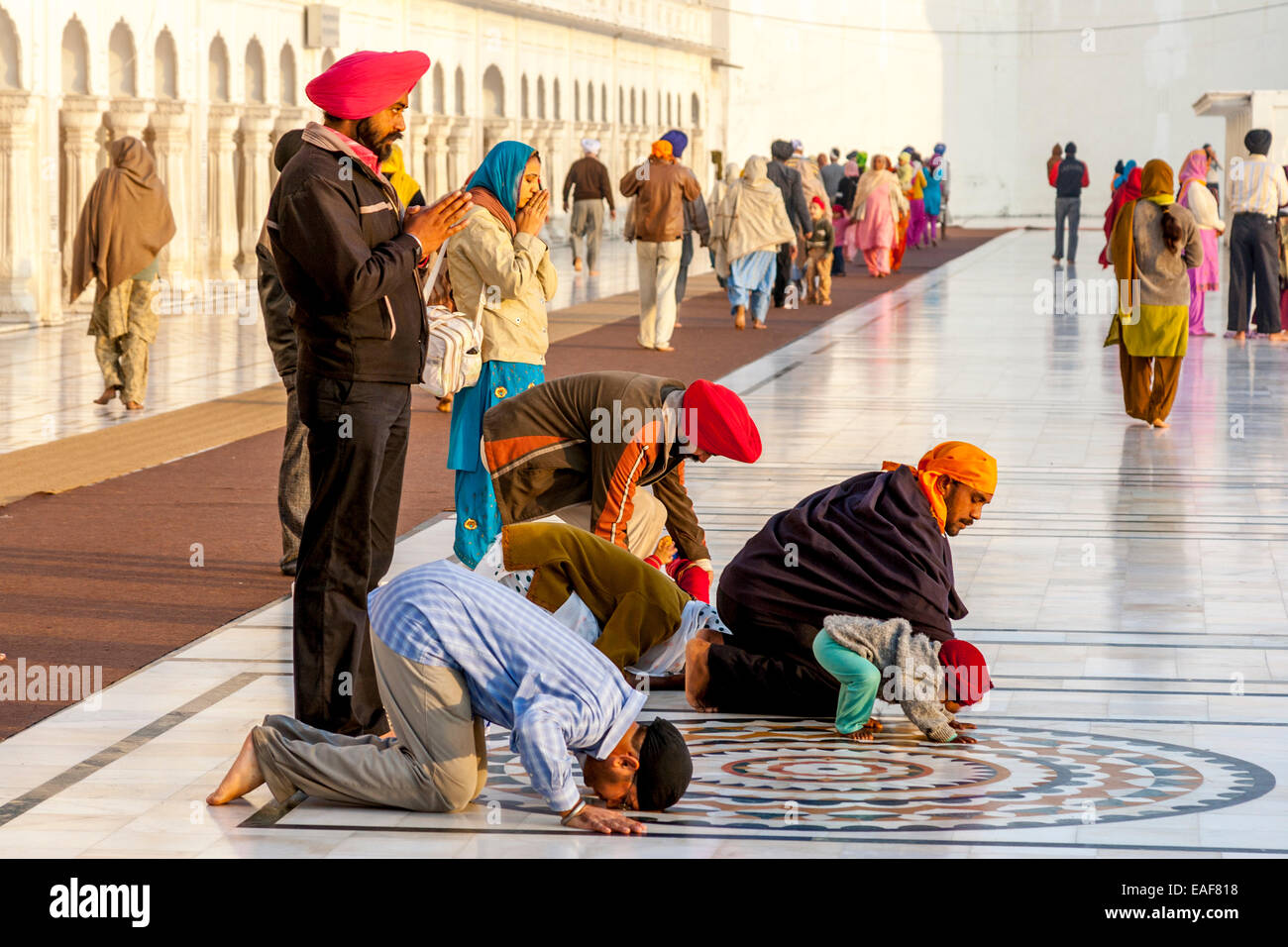 Sikhs Praying At The Golden Temple of Amritsar, Punjab, India Stock