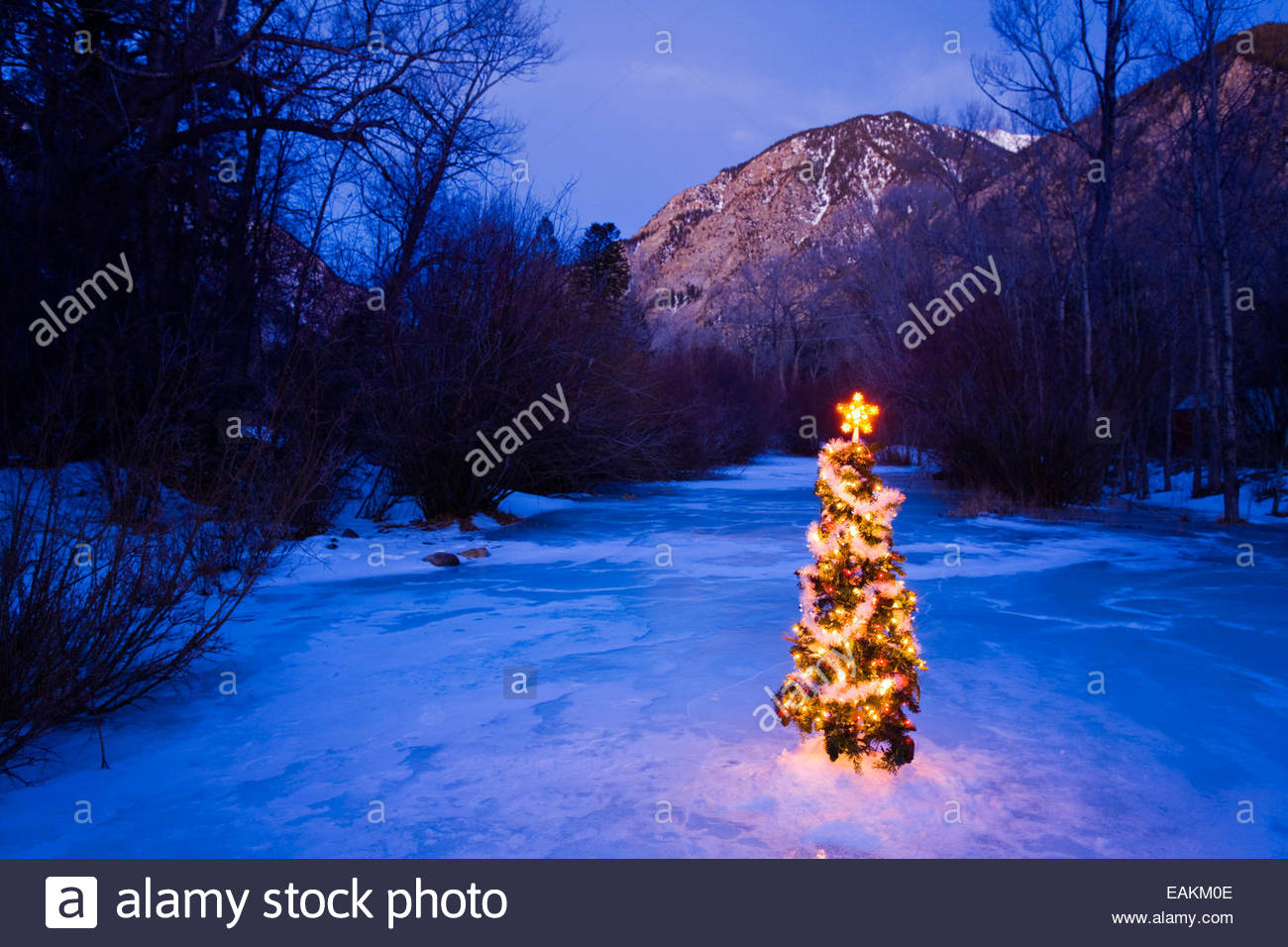 decorated christmas tree along chalk creek in colorado decorated christmas tree along chalk creek in colorado