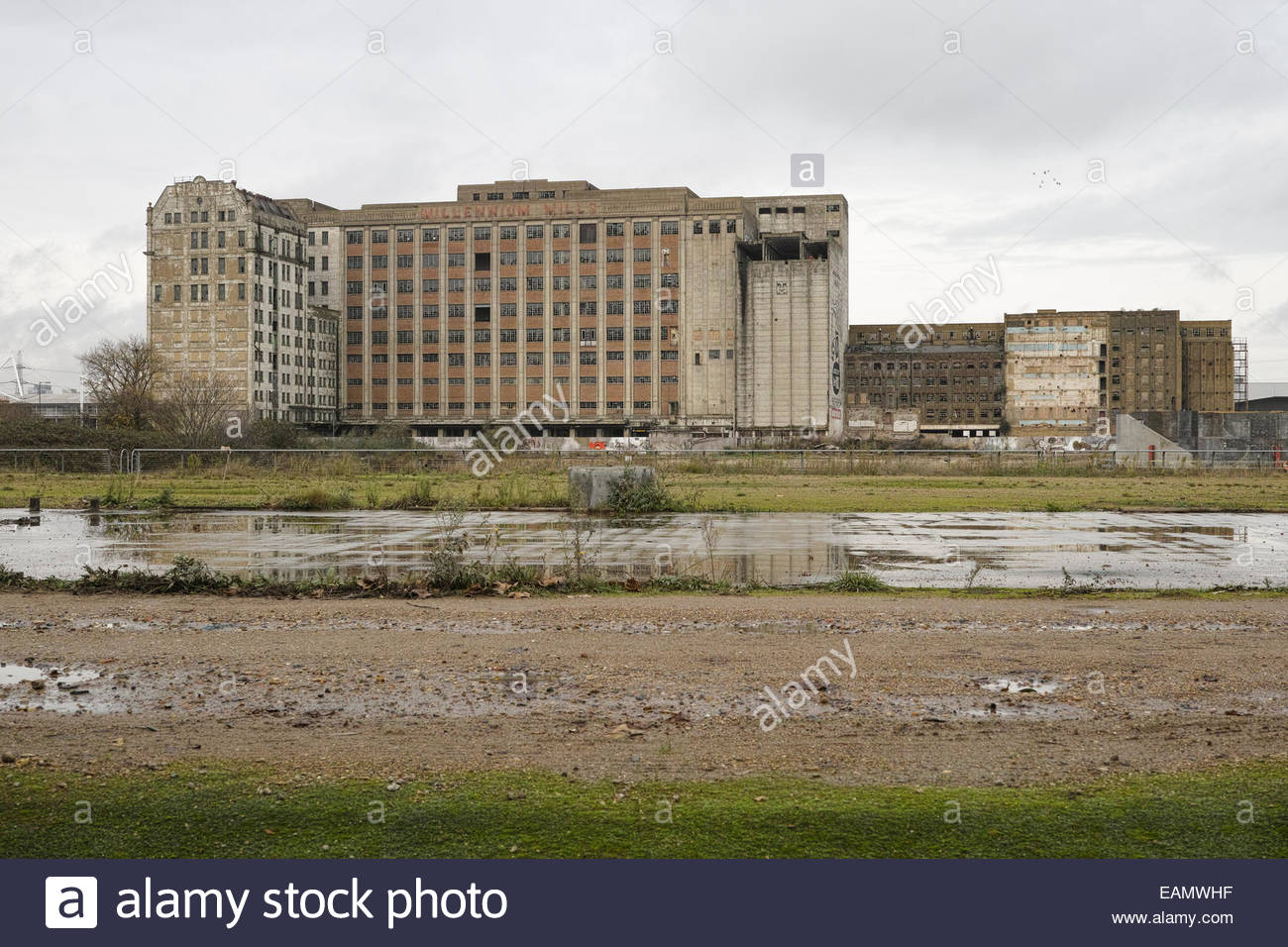 The derelict Millennium Mills building at West Silvertown East Stock