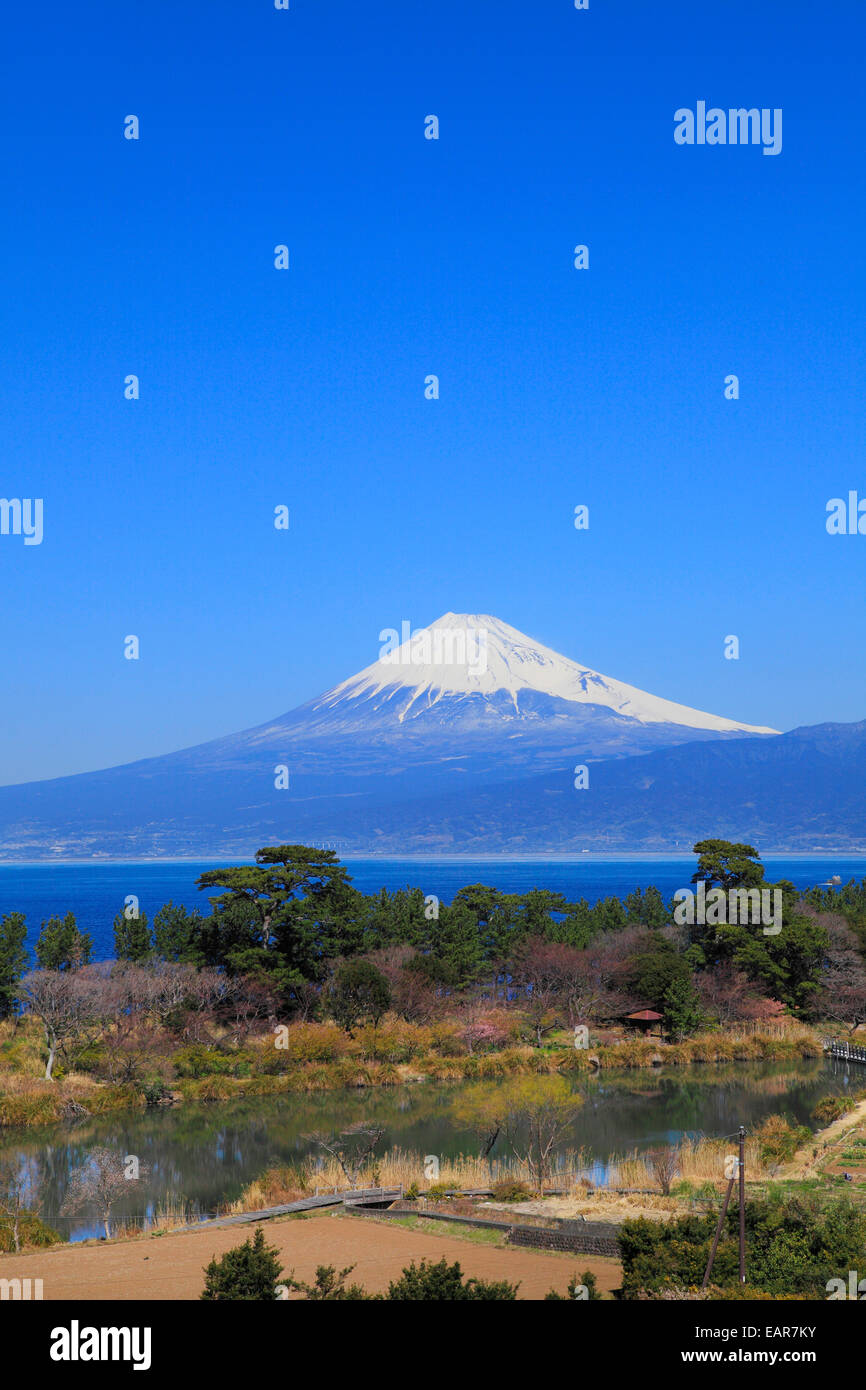 Shizuoka Prefecture, Japan Stock Photo, Royalty Free Image 75498975