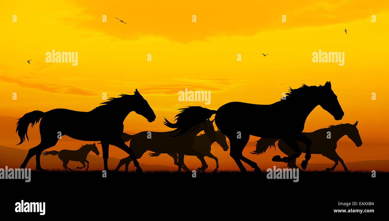 Illustration Of Running Horses Silhouettes On Sunset Background