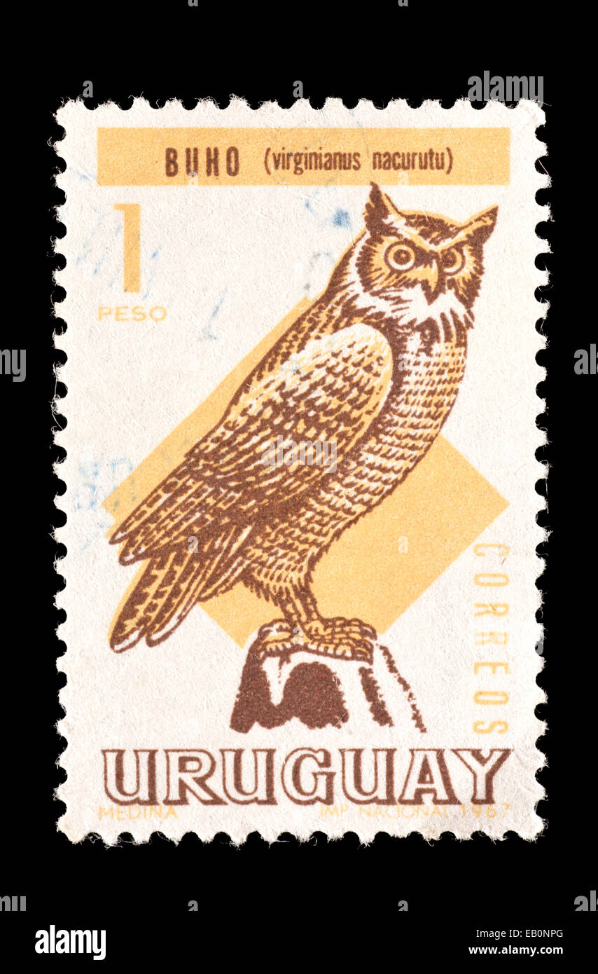 Postage Stamp From Uruguay Depicting South American Great Horned Owl